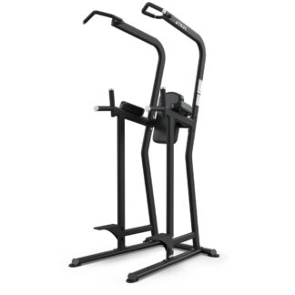 TRUE FS-23 Knee Raise/Dip/Chin Station